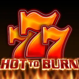 Official Slots logo: Hot To Burn by Pragmatic Play at Playone Casino