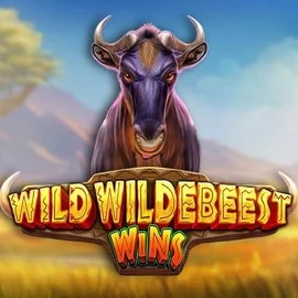 Wild Wildebeest Wins logo by Pragmatic Play Playone Casino
